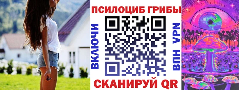 купить наркотик  Кадников  Галлюциногенные грибы GOLDEN TEACHER 